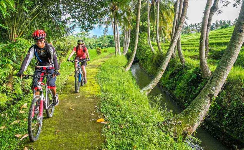 Cycling in Countryside Tour